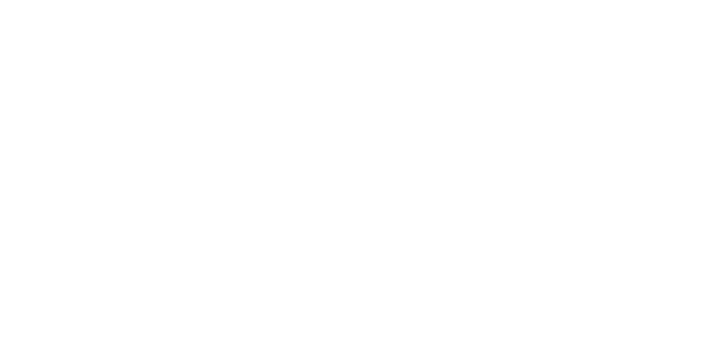 Stoney's Logo